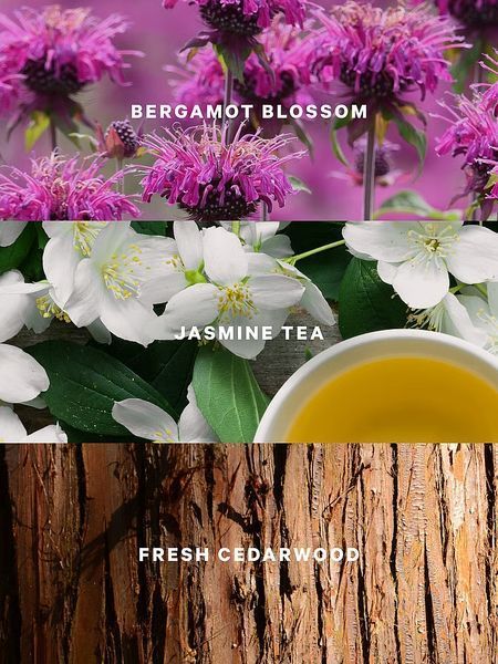 Лосьйон для тіла Victoria's Secret Jasmine Tea Sunrise Fragrance Lotion &mdash; основне фото товару, вигляд спереду