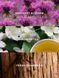 Лосьйон для тіла Victoria's Secret Jasmine Tea Sunrise Fragrance Lotion &mdash; фото , вигляд з різних ракурсів