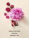 Парфюмированный лосьон Victoria's Secret Bombshell Bouquet Fine Fragrance Lotion 27187915 фото 2