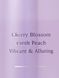Спрей для тіла Victoria's Secret Love Spell Fragrance Mist &mdash; фото , вигляд з різних ракурсів