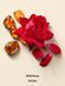 Олія для Тіла Victoria's Secret Wild Rose Amber Body & Massage Oil &mdash; фото , вигляд з різних ракурсів