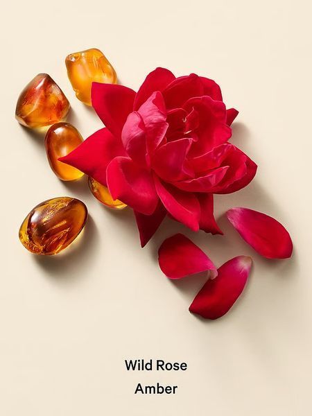 Подарунковий набір Victoria's Secret Wild Rose Amber Hydrating Body Lotion + Hair & Body Mist + Body & Massage Oil &mdash; основне фото товару, вигляд спереду