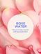 Подарунковий набір Victoria's Secret Wild Rose Amber Hydrating Body Lotion + Hair & Body Mist + Body & Massage Oil &mdash; фото , вигляд з різних ракурсів