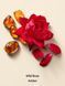 Подарунковий набір Victoria's Secret Wild Rose Amber Hydrating Body Lotion + Hair & Body Mist + Body & Massage Oil &mdash; фото , вигляд з різних ракурсів