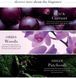 Парфумований Лосьйон Victoria's Secret Very Sexy Orchid Fragrance Lotion &mdash; фото , вигляд з різних ракурсів