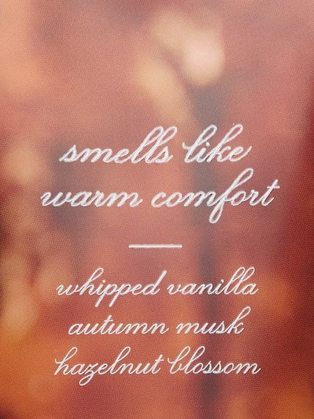 Набір Victoria's Secret Cozy Vanilla Cashmere Fragrance Mist + Lotion  &mdash; основне фото товару, вигляд спереду
