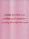 Спрей для тіла Victoria's Secret Snowdrift Fragrance Mist &mdash; фото , вигляд з різних ракурсів