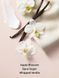 Подарунковий набір Victoria's Secret Bare Vanilla Shower Gift Set ft. Shampoo, Conditioner & Cleanser &mdash; фото , вигляд з різних ракурсів