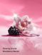 Набір Victoria's Secret Velvet Petals Joy Shimmer Fragrance Mist + Lotion &mdash; фото , вигляд з різних ракурсів