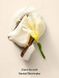 Подарунковий набір Victoria's Secret Coconut Passion Whipped Fragrance Lotion + Mist &mdash; фото , вигляд з різних ракурсів