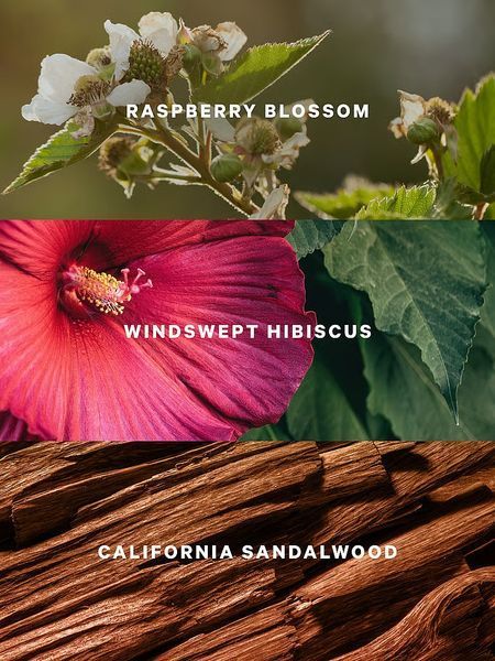 Спрей для тіла Victoria's Secret Serene Blooms Fragrance Mist &mdash; основне фото товару, вигляд спереду