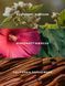 Спрей для тіла Victoria's Secret Serene Blooms Fragrance Mist &mdash; фото , вигляд з різних ракурсів