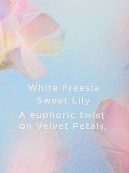 Лосьйон для тіла Victoria's Secret Velvet Petals Bliss Body Lotion &mdash; основне фото товару, вигляд спереду