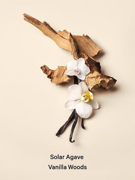 Набір Victoria's Secret Bare Vanilla Vacation Fragrance Mist + Lotion &mdash; основне фото товару, вигляд спереду