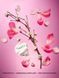 Спрей для тіла Victoria's Secret Dream Girl Shimmer Mist &mdash; фото , вигляд з різних ракурсів